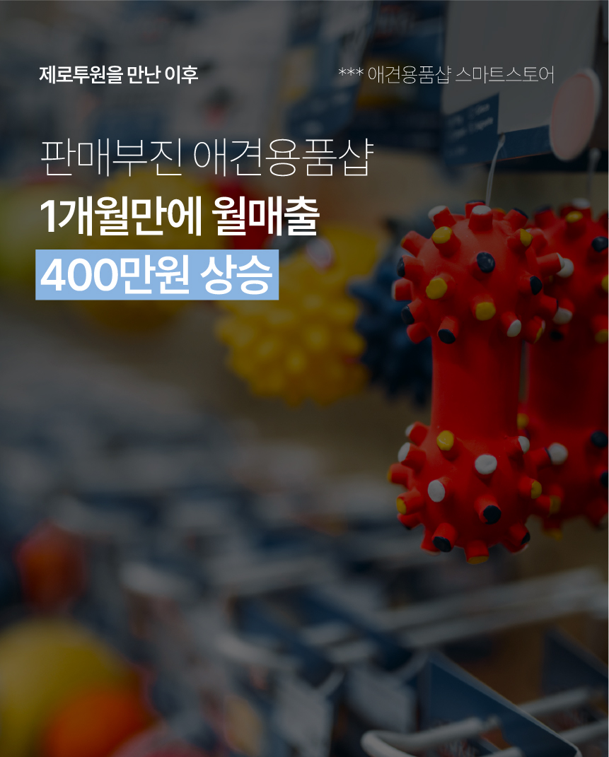 12. 제공된 애견용품 스마트스토어 사례: 1개월 만에 월 매출 400만 원 상승.