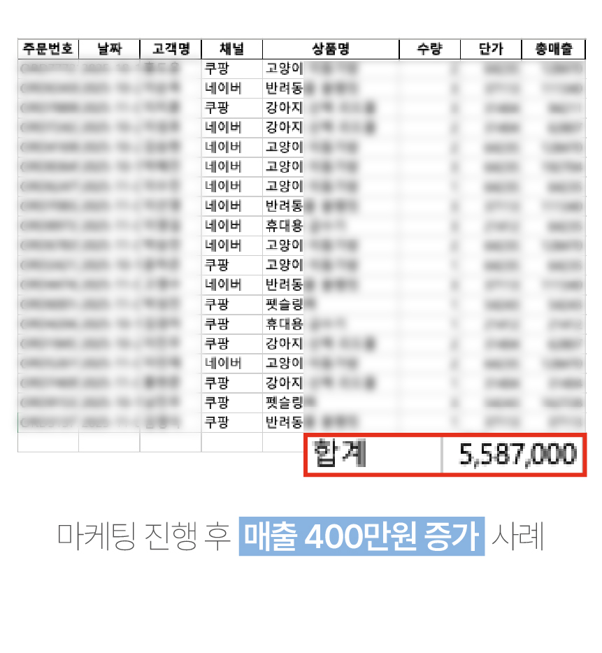 13. 애견용품 판매 내역 자료와 매출 400만 원 증가 사례.